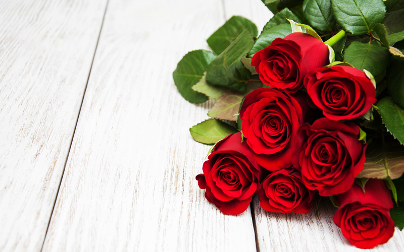 Miten ruusuista tuli ystävänpäivän tunnus? | Valitut Palat