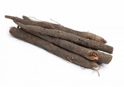 mustajuuri